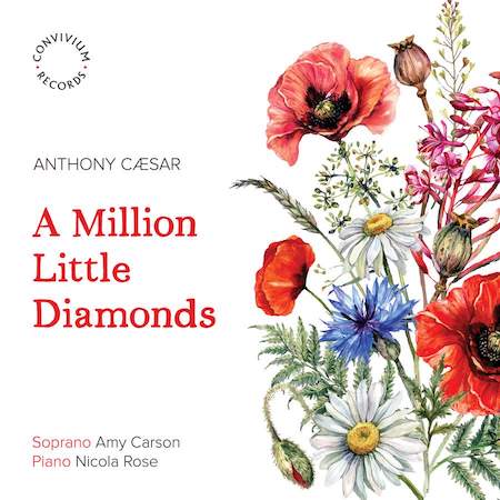 The cover of 'A Million Little Diamonds'  which Amy has recorded songs by Anthony Cæsar with pianist Nicola Rose, released by Convivium Records. Listen on Spotify